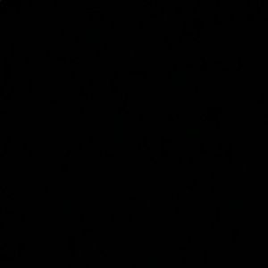 Meet your Posher, Bella